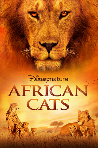 African Cats - Il regno del coraggio poster