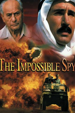 The Impossible Spy poster