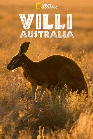 Villi Australia poster