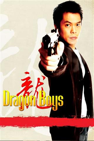 Dragon Boys poster