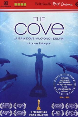 The Cove - La baia dove muoiono i delfini poster