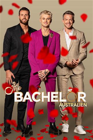 Bachelor Australien poster