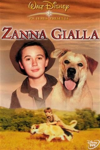 Zanna gialla poster