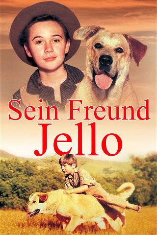 Sein Freund Jello poster
