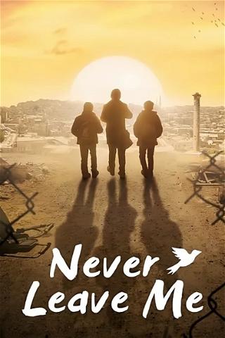 Never Leave Me poster