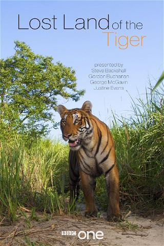 Expedición tigre poster