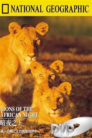 Lions of the African Night poster