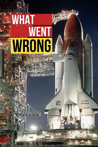 What Went Wrong poster
