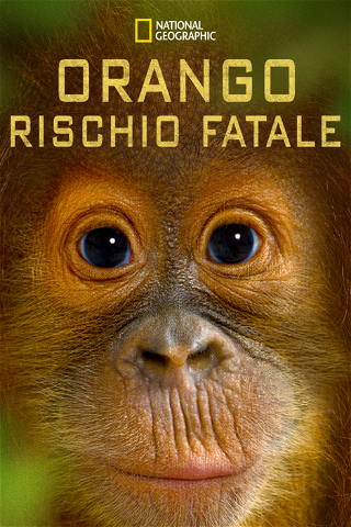 Orango: rischio fatale poster