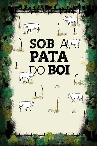 Sob a pata do boi – como a Amazônia vira pasto poster