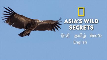 Asia's Wild Secrets poster