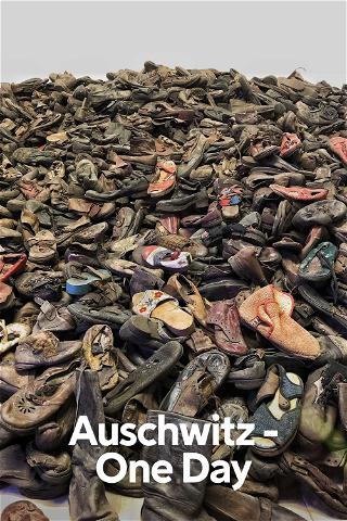Auschwitz poster
