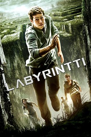 Labyrintti poster