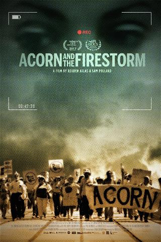 Acorn and the Firestorm poster