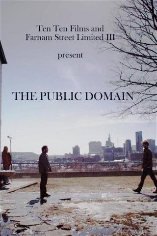 The Public Domain poster