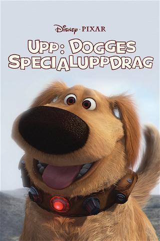 Dogges specialuppdrag poster