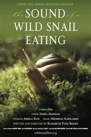 The Sound of a Wild Snail Eating poster
