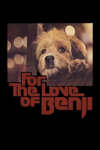 Pour l'amour de Benji poster