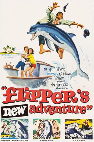 Flipper y los piratas poster