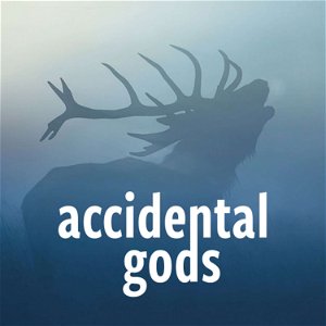 Accidental Gods poster