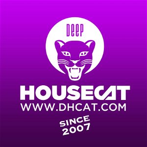 Deep House Cat poster