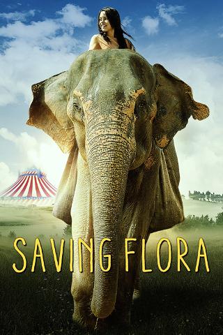 Sauvez Flora l'éléphant poster