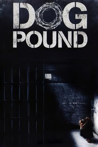 Dog Pound (La perrera) poster