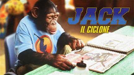 MXP: Jack, un mono muy intrépido poster