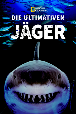 Haie - Die ultimativen Jäger poster