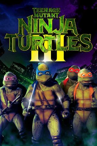 Teenage Mutant Ninja Turtles 3 poster