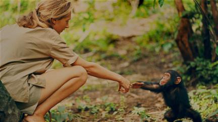 Jane – Mein Leben mit Schimpansen poster