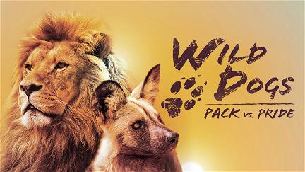 Wild Dogs: Packs Vs. Pride poster