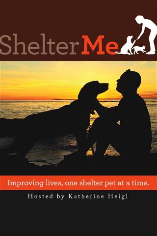 Shelter Me poster