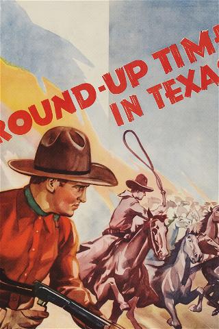 Round Up Time in Texas poster
