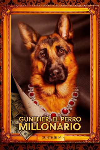 Gunther, el perro millonario poster