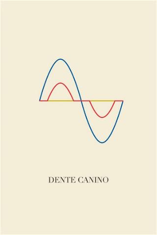 Dente Canino poster