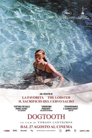 Dogtooth poster