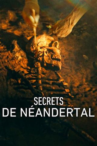 Secrets de Néandertal poster
