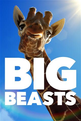 Gigantes do Mundo Animal poster
