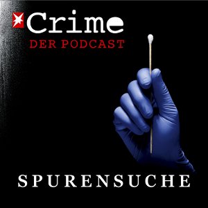 stern Crime - Spurensuche poster