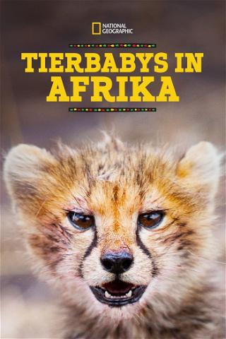 Tierbabys in Afrika poster