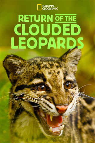 Return of the Clouded Leopards poster