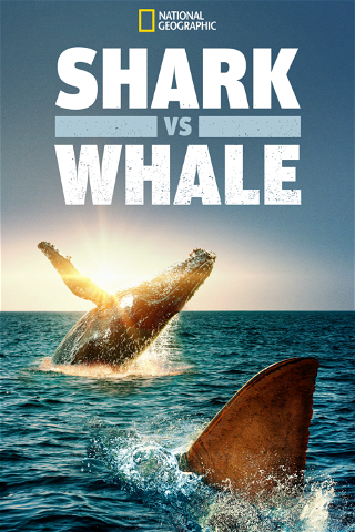 Shark Vs Whale poster