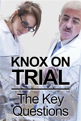 Knox on Trial: The Key Questions poster