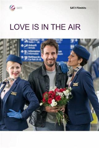 Love is in the air poster