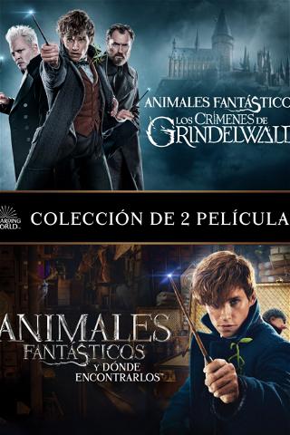 Animales fantásticos - Colección de 2 películas poster