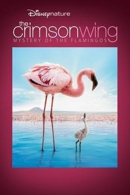 The Crimson Wing: Mystery of the Flamingo poster