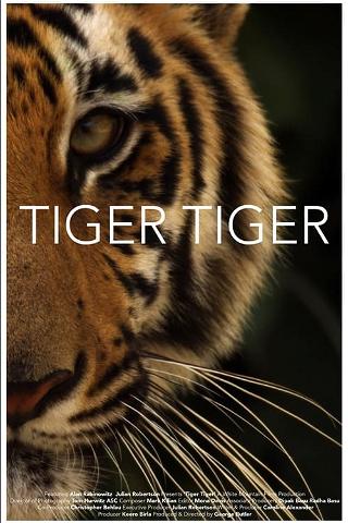 Tiger Tiger poster