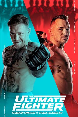 Ultimate Fighter poster