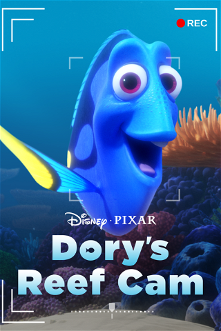Dory's Reef Cam poster
